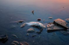 Rząd ma zdecydować o pomocy dla nadodrzańskich firm