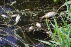 Pomoc dla nadodrzańskich przedsiębiorców - prezydent podpisał ustawę