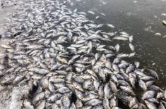 Zatruta Odra - sprawca katastrofy ekologicznej może nawet trafić za kratki