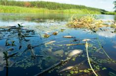 Rząd pracuje nad specustawą - jeszcze w tym roku planuje rozpocząć inwestycje na Odrze