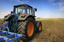 GUS: Spadają dochody z pracy z 1 ha przeliczeniowego w indywidualnych gospodarstwach rolnych