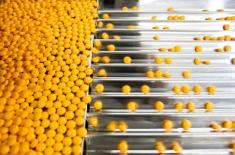 UOKiK: 4 mln zł kary dla Polskiej Grupy Farmaceutycznej za opóźnianie płatności