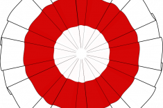 Kotylion na bal, kokarda narodowa na obchody