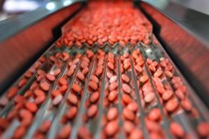 Branże kosmetyczna i farmaceutyczna obawiają się unijnej dyrektywy ściekowej