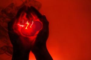 SN: Czyn nieprzyzwoity w miejscu publicznym to baner z krwawymi płodami