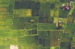 Zawieszanie renty rolniczej – po interwencji RPO ministerstwo analizuje możliwość zmian
