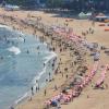 WSA unieważnił zakaz wyprowadzania psów na plaże w Ustroniu Morskim