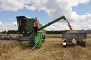 Rozporządzenie w sprawie dopłat do transportu zboża opublikowane. Nie tylko ono
