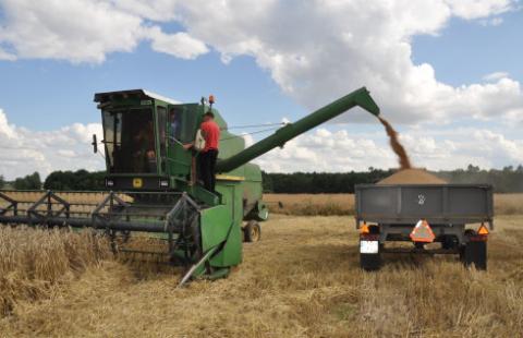 Rozporządzenie w sprawie dopłat do transportu zboża opublikowane. Nie tylko ono