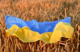 Już obowiązują unijne przepisy o imporcie produktów rolnych z Ukrainy
