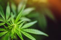 SN: Uchylenie immunitetu prokuratorowi, który na szkoleniu częstował marihuaną