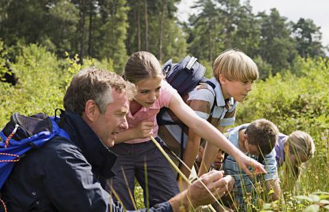 Jednak nie będzie nowego bonu turystycznego