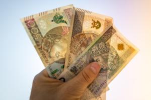 Numer rachunku i PESEL to najczęstsze błędy we wnioskach o 800+