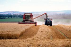 Rolnicy muszą spieszyć się z wnioskami o dopłaty