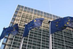 Ustawa o współpracy władz w sprawie przewodnictwa Polski w Radzie UE opublikowana