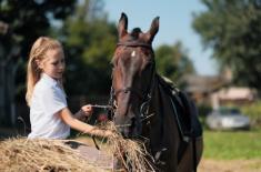 Rolnik ryczałtowy, który prowadzi pensjonat dla koni, jest zwolniony z VAT