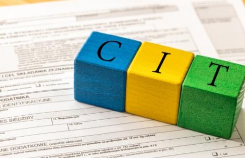 CIT estoński bardziej popularny, ale wciąż są wątpliwości