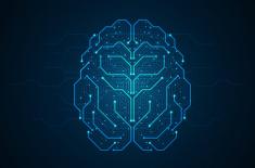 NRL: Kryteria stwierdzenia śmierci mózgu powinny wynikać z wiedzy medycznej