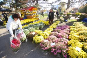 W dniu Wszystkich Świętych można dorobić nawet bez własnej działalności