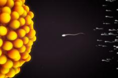 Za młoda na in vitro? Refundowana procedura nie dla każdego