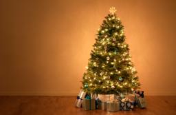 Choinka i świąteczne dekoracje w kosztach firmy