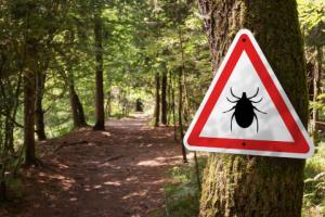 Kolejna interpelacja w sprawie metody leczenia boreliozy