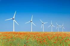 Lewiatan: Sześć dni na konsultacje programu o małych elektrowniach wiatrowych to za mało