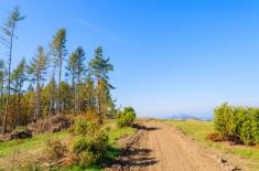 SN: Skarga kasacyjna o wynagrodzenie za służebność - odrzucona