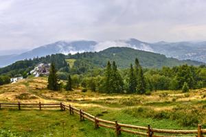Trudno o paragraf na ulicznych naciągaczy, zwłaszcza gdy zgłosili zbiórkę