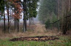 Sezonowe zakazy nie pomagają zwalczyć afrykańskiego pomoru świń