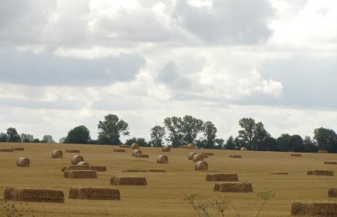 Komisja Europejska proponuje zmiany w Zielonym Ładzie