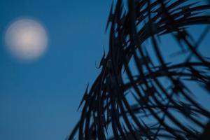 Prawa cudzoziemców wymagają ochrony - projekt noweli dotyczącej cudzoziemców do poprawy