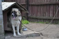 SN: Dożywotni zakaz posiadania zwierząt rażąco narusza prawo