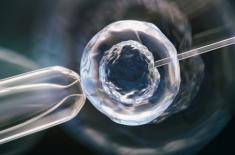 Nie będzie refundacji mrożenia tkanek jajnika - na przeszkodzie prawo