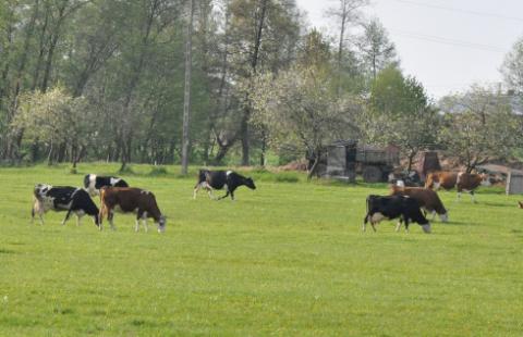 Będą nowe rodzaje płatności bezpośrednich dla rolników