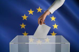 295 obwodów za granicą w wyborach do Parlamentu Europejskiego
