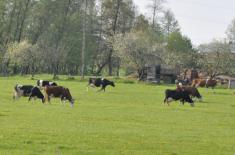 Będzie większy nadzór nad zdrowiem zwierząt