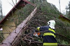 Po szkodzie trzeba działać szybko, ale przed decyzją o odszkodowaniu warto policzyć straty