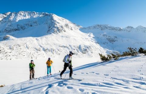 Stop budowie stacji narciarskiej na Nosalu