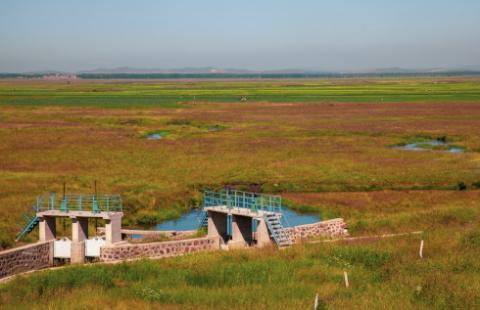 RIO: Czy gmina może udzielić pożyczki gminnej spółce wodnej?