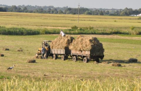 RPO: Dzierżawa ziemi rolnej Skarbu Państwa