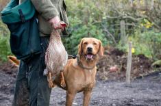 NSA: Pozwolenia na broń nie dostanie ten, kto zabił psa
