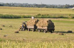 SO: Ksiądz, zarządzając gospodarstwem parafii, nie dziedziczy po matce