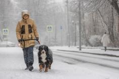 Pozostawienie zwierzęcia na mrozie może być przestępstwem