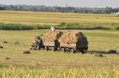 Mechanizm warunkowości w płatnościach dla rolników. Rząd przyjął projekt