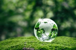 Powstał zespół ds. edukacji klimatycznej