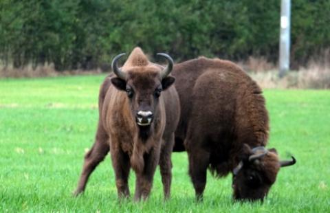 Podlaski bon turystyczny nie był dla wszystkich, to ma się zmienić