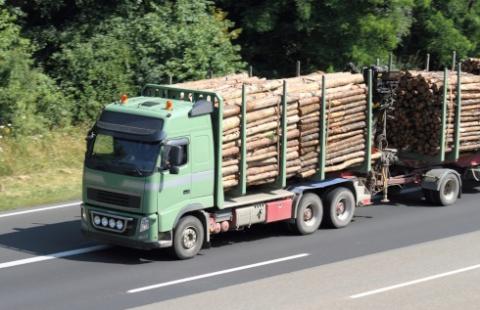 Drewno jako surowiec strategiczny. Minister Paszyk zapowiada ustawę