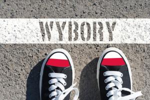 Wybory na żyletkę, walka o każdy głos - samorządy mobilizują się na rzecz frekwencji