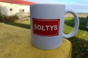 Sołtys w butach radnego, a sołectwa czwartym szczeblem administracji